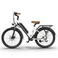 Aostirmotor G350 350W Electric Bike