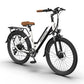 Aostirmotor G350 350W Electric Bike