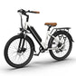 Aostirmotor G350 350W Electric Bike