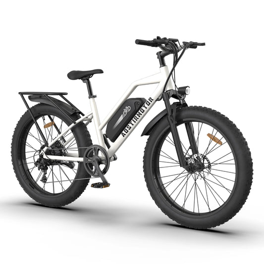 Aostirmotor S07-G Electric Bike