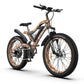 Aostirmotor S18 1500W Electric Bike